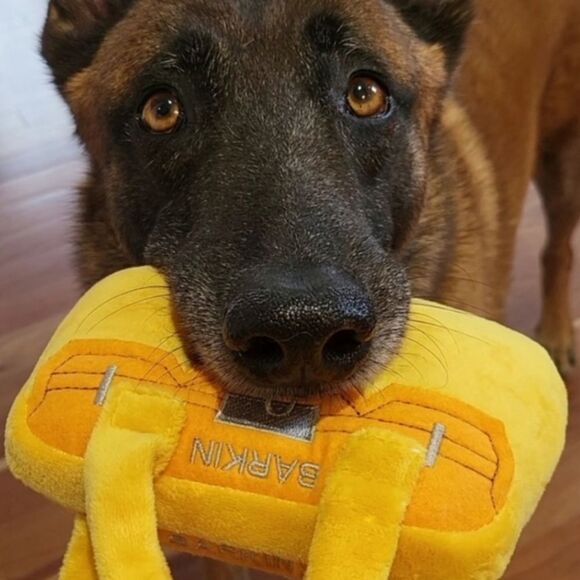 *Lot of 5* Dog Toy Plush Purse Soft Pet Lover Gift Cat Toy Fur Baby Great Gift - Picture 3 of 3